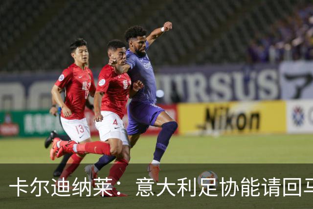 卡尔迪纳莱：意大利足协能请回马尔蒂尼，说明他们开始醒悟了